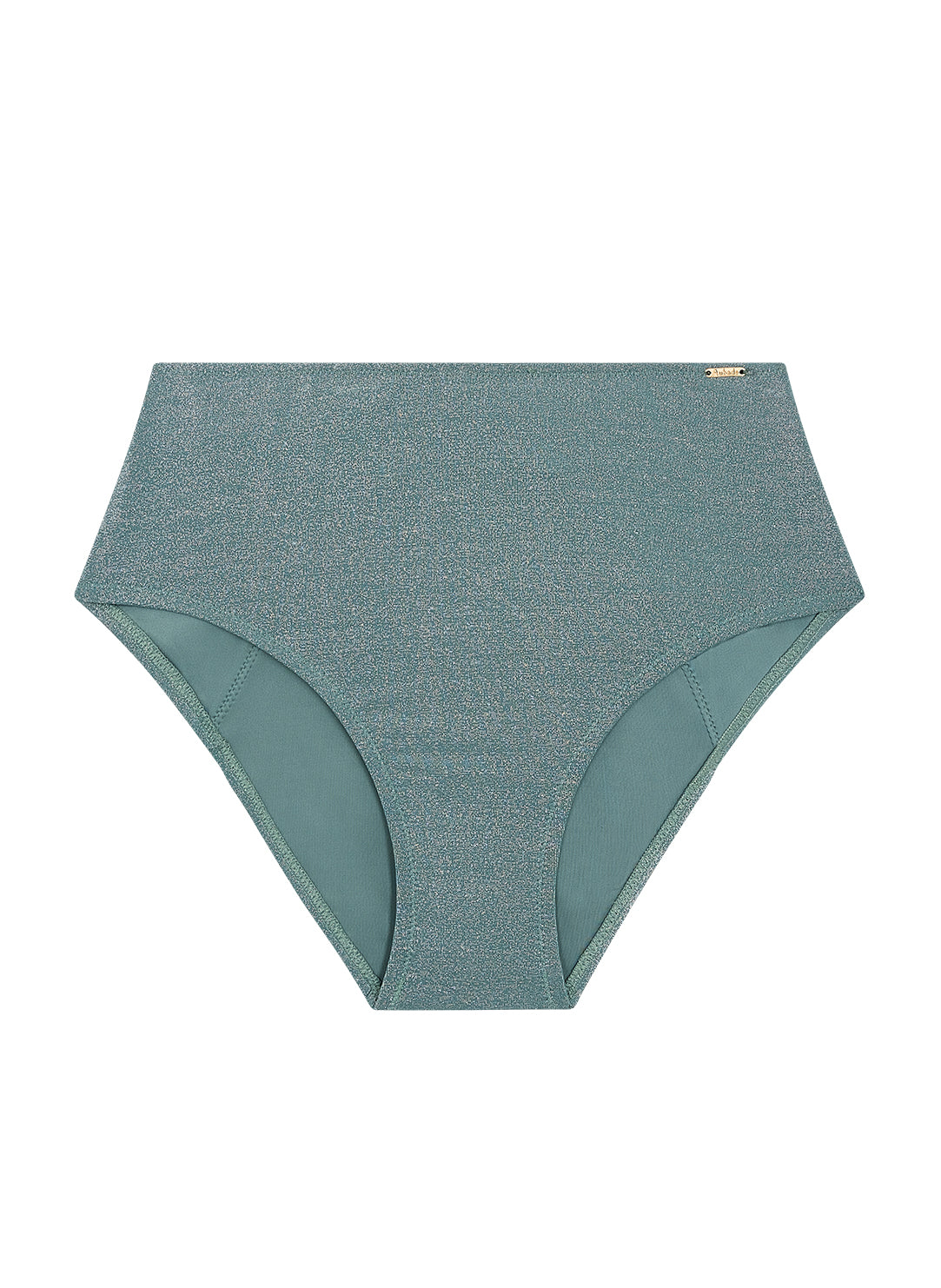 Summer Glow Aqua Swim Highwaisted Brief