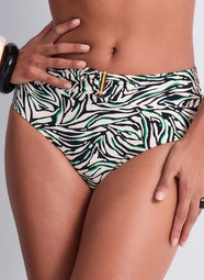 Tropical Splash Wild Stripes Swim Highwaisted Brief