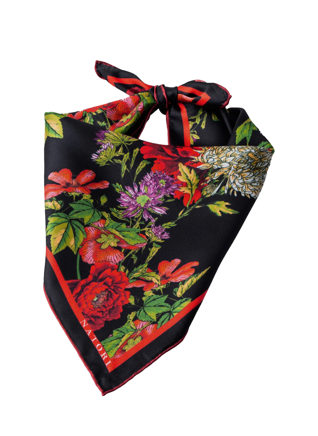 Chrysanthemum Black 22