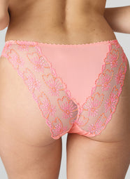 Jane Florida Italian Briefs