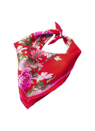 Chrysanthemum Red 22