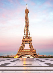 Paris 2027 Ticket $3250 Final Payment