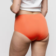 Color Studio Pamplemousse Shorts