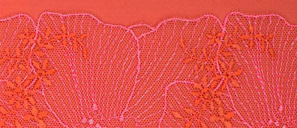 Pamplemousse