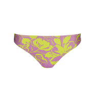 Chalia Luminous Lines Bikini Briefs Rio