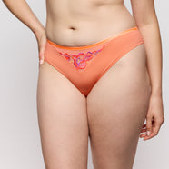 Devdaha Sunset Blush Rio Briefs