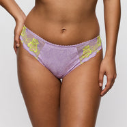 Ixia Wisteria Rio Briefs