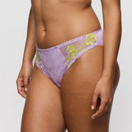 Ixia Wisteria Rio Briefs