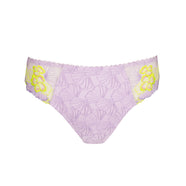 Ixia Wisteria Rio Briefs