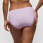Ixia Wisteria Full Briefs