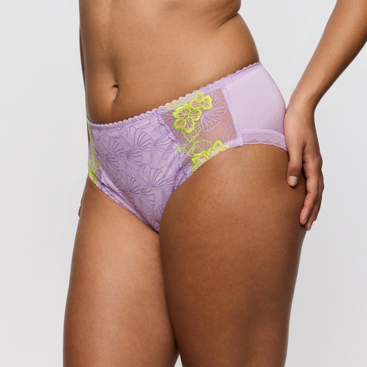 Ixia Wisteria Full Briefs