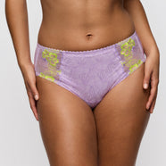 Ixia Wisteria Full Briefs