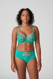 Lenca Sunny Teal Full Briefs