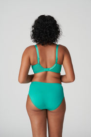 Lenca Sunny Teal Full Briefs