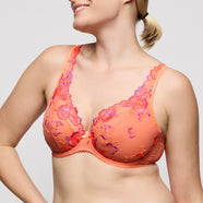 Devdaha Sunset Blush Half Padded Plunge Bra