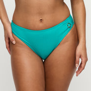 Delray Sea Turtle Bikini Briefs Rio