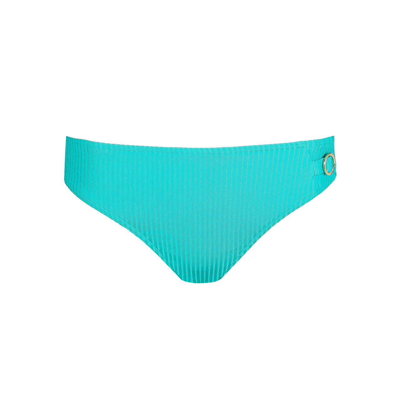 Delray Sea Turtle Bikini Briefs Rio