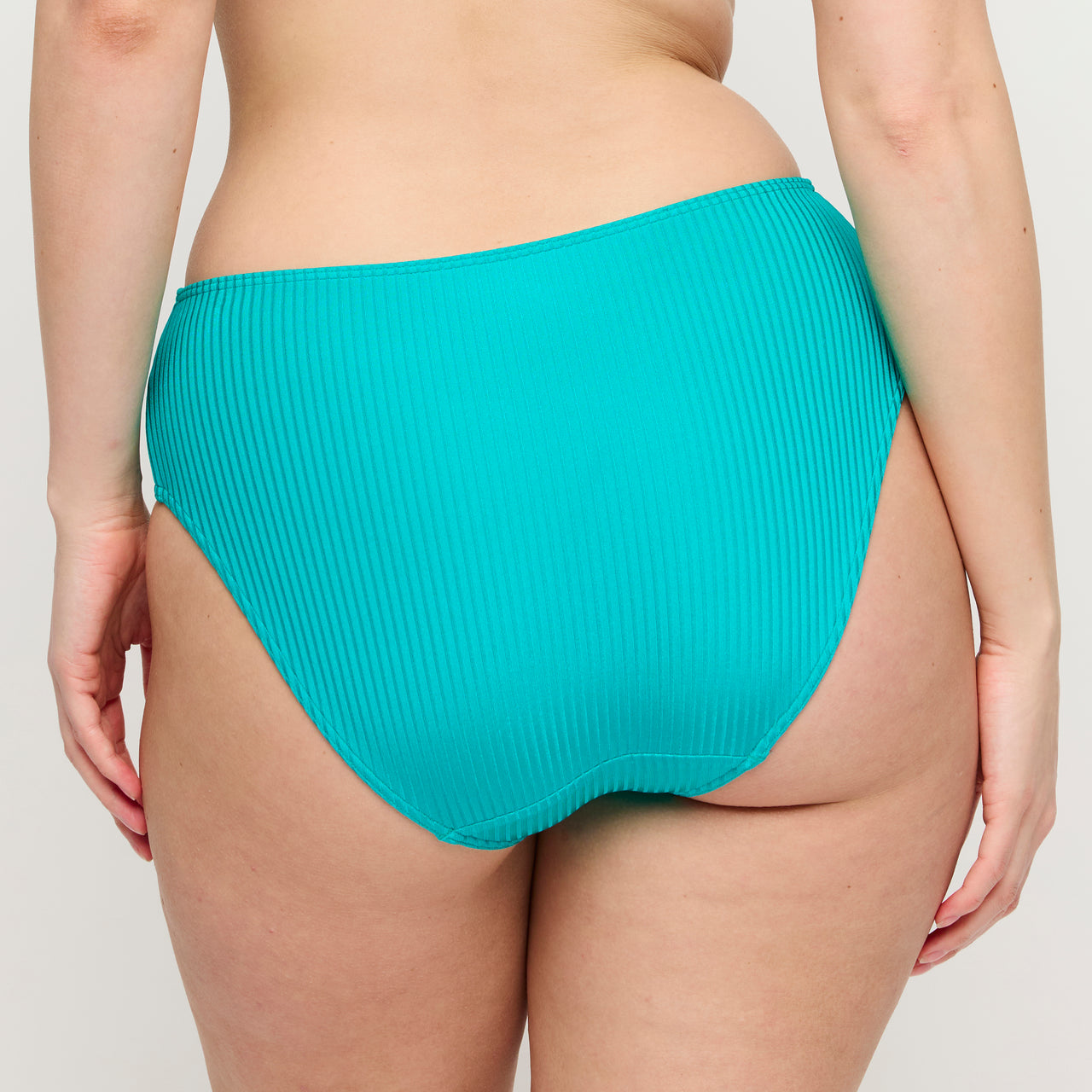 Delray Sea Turtle Bikini Full Briefs