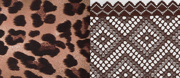 Leopard Bloom