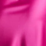 Wild Fuchsia