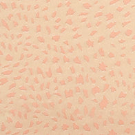 Peach Whisper