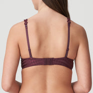 Daisy Wine Non Padded Full Cup Seamless