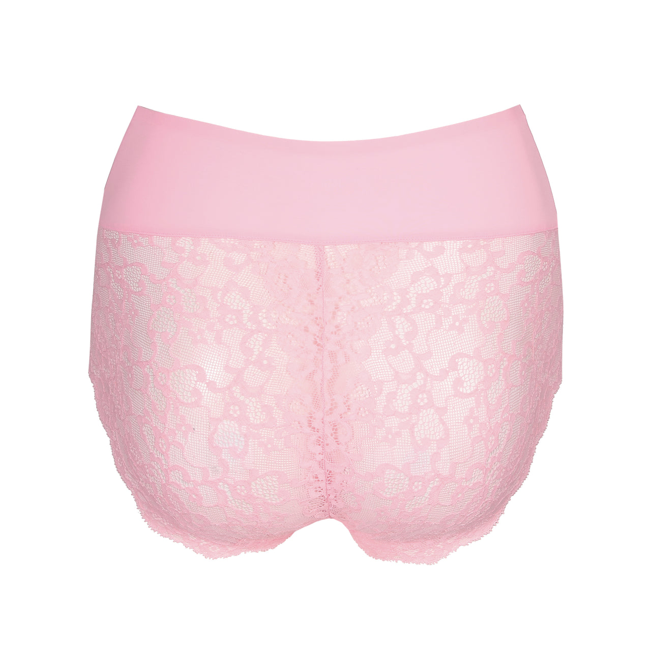 Color Studio Lily Rose Shapewear High Briefs